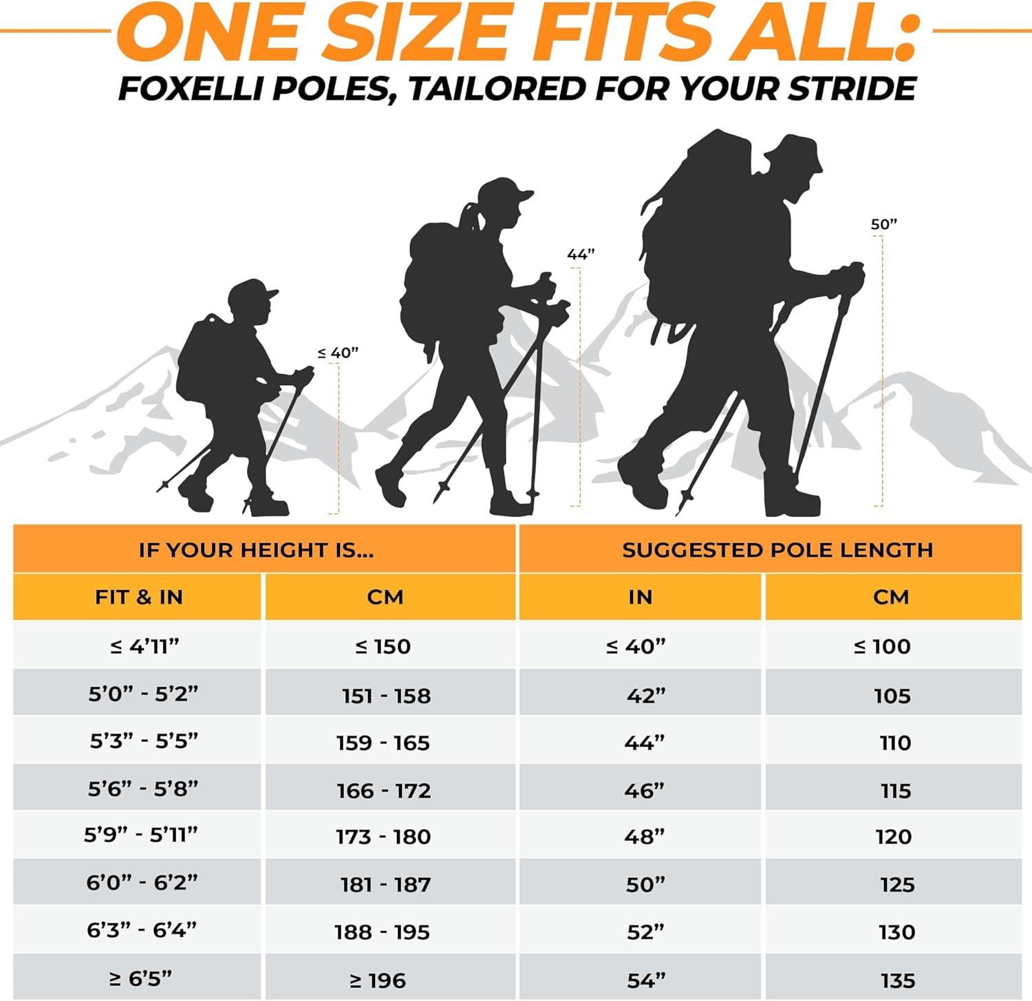 imageFoxelli Carbon Fiber Trekking Poles Lightweight Collapsible Hiking Poles with Cork Grips Lever Locks ampamp All Terrain AccessoriesBlue