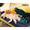 Foxelli Two-Pack Bundle: Insulated Self Inflating Sleeping Pads for Camping, Backpacking & Hiking
